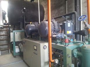 �����ݸ�������